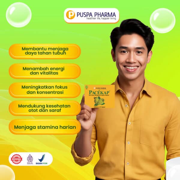 Pacekap Box - Gambar 5