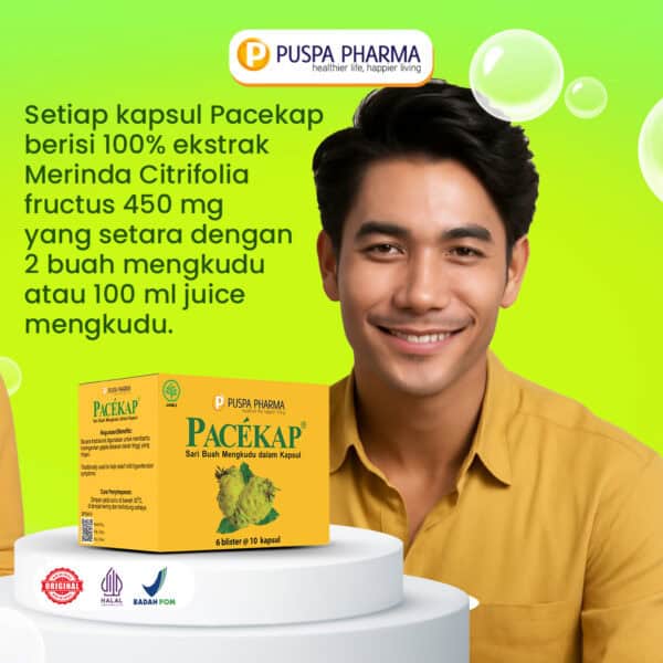 Pacekap Box - Gambar 4
