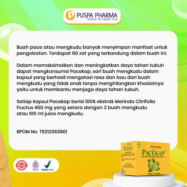 Pacekap Box - Gambar 3