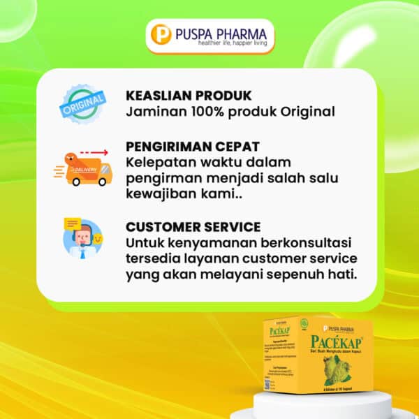 Pacekap Box - Gambar 2