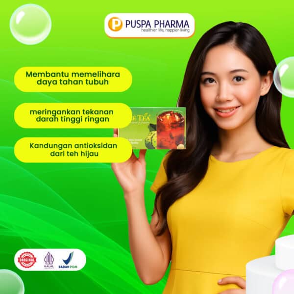 Pacetea - Gambar 2