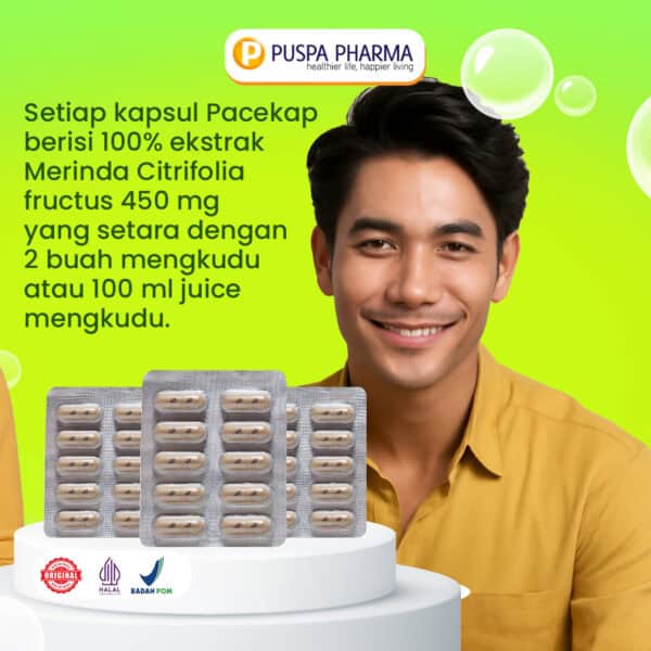 Pacekap Box - Gambar 6