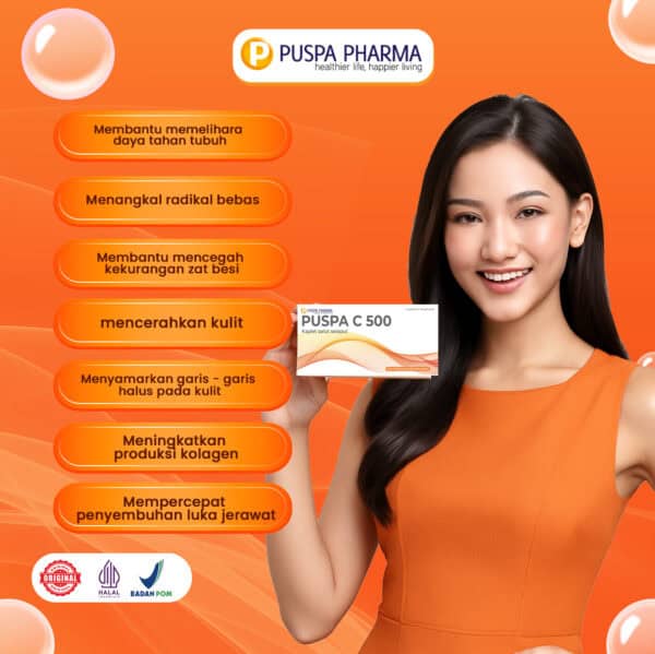 Puspa C 500 - Gambar 2