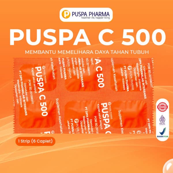 Puspa C 500 - Gambar 4